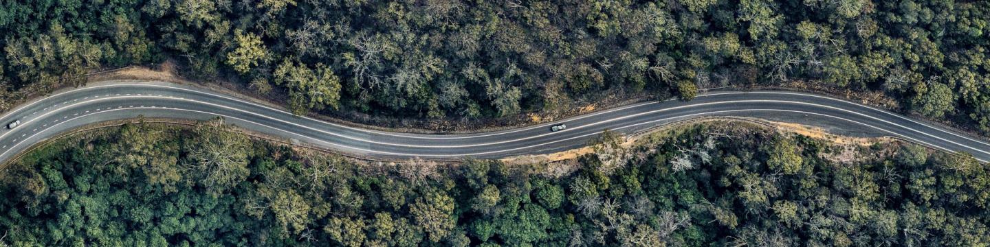Bird's-eye view of winding road through forest