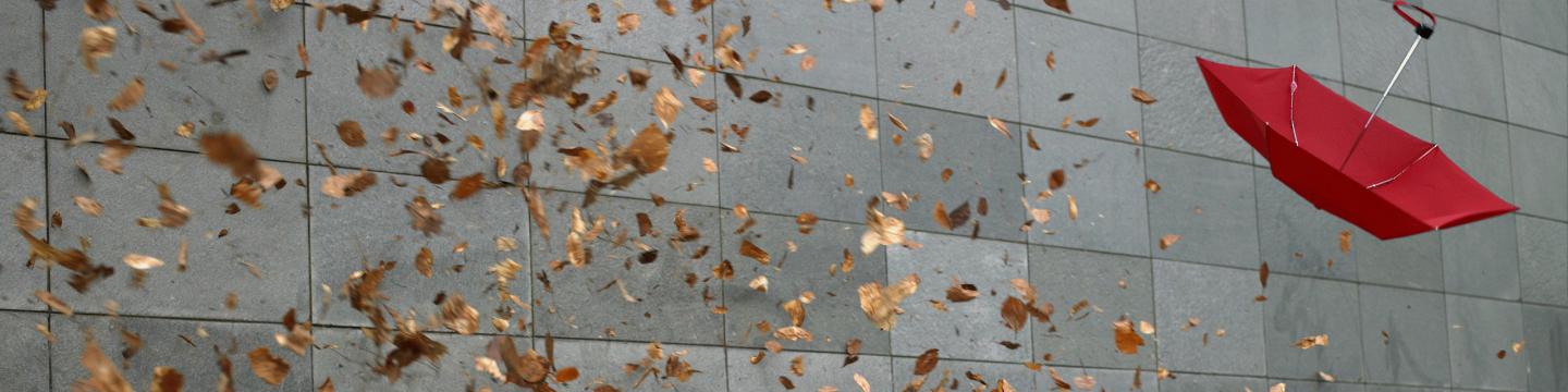 umbrella flying in windy city