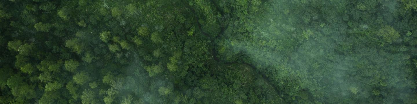 Drone aerial shot of green tropical forest from above