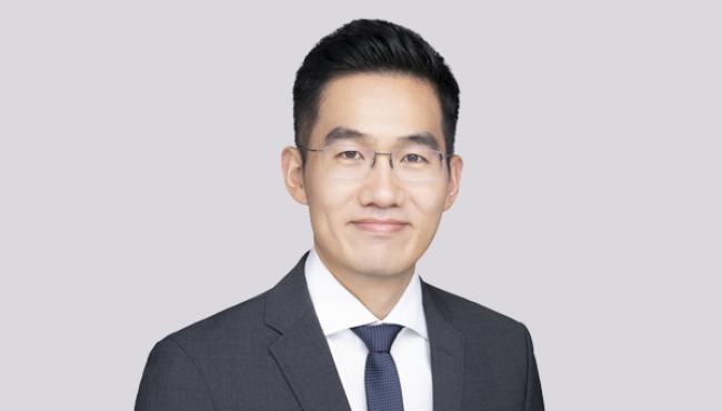 Li Zhang - Principal, AFRY Management Consulting