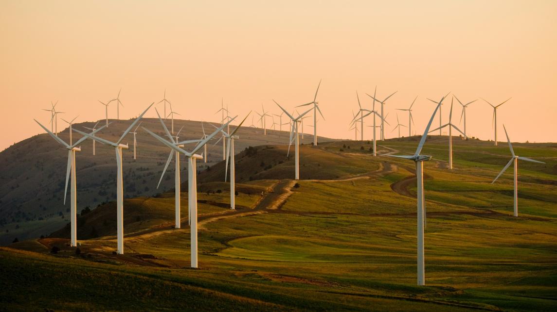 A field of wind farms