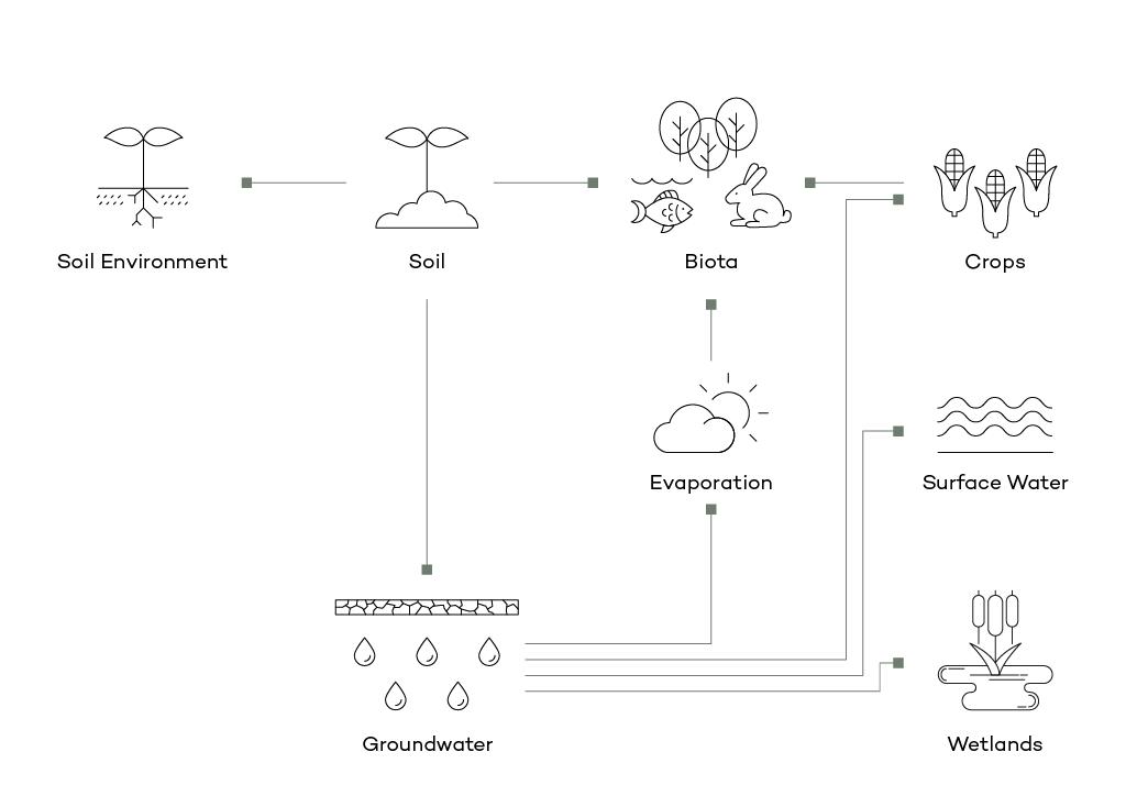 Illustration of environmental cycle for Ecolego simulation and assessment.