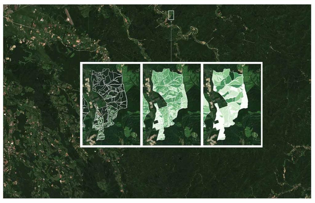 Large-scale forest inventory as measured by satellites