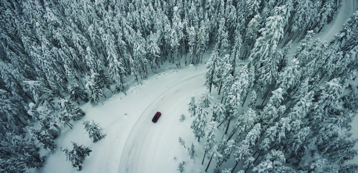 car driving among snowy trees