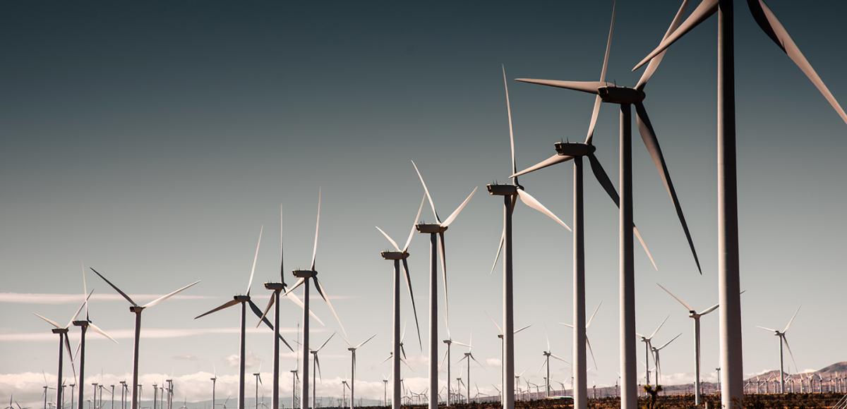 Rows of wind power turbines