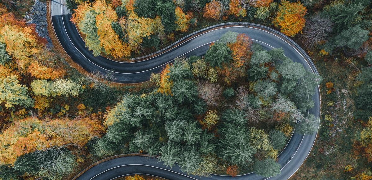 drone footage from above of curvy road among colorful trees