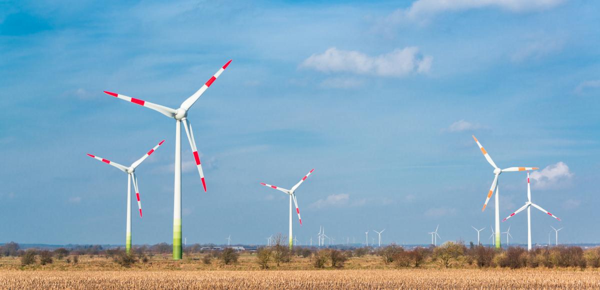 Wind turbines with red tips in field of cropped corn on blue sky background