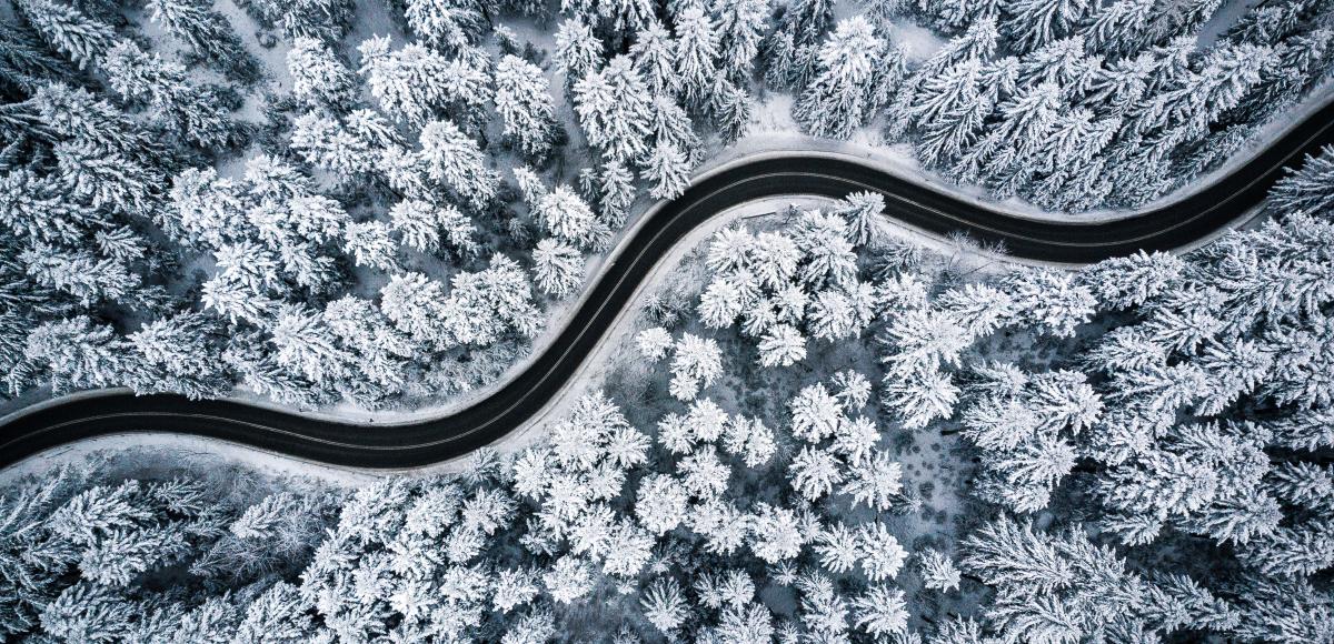 Road winding through snowy forest