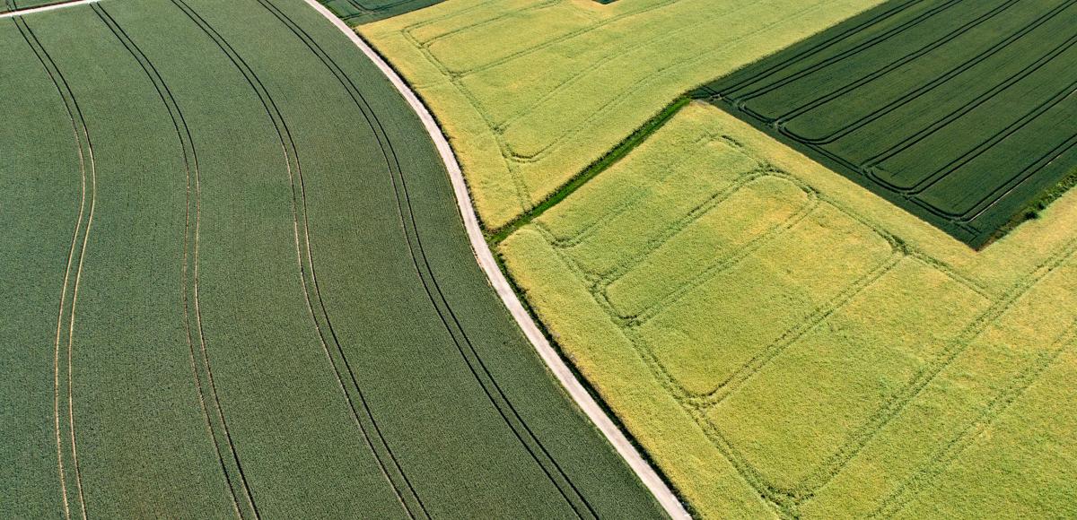 Green fields seeing from above