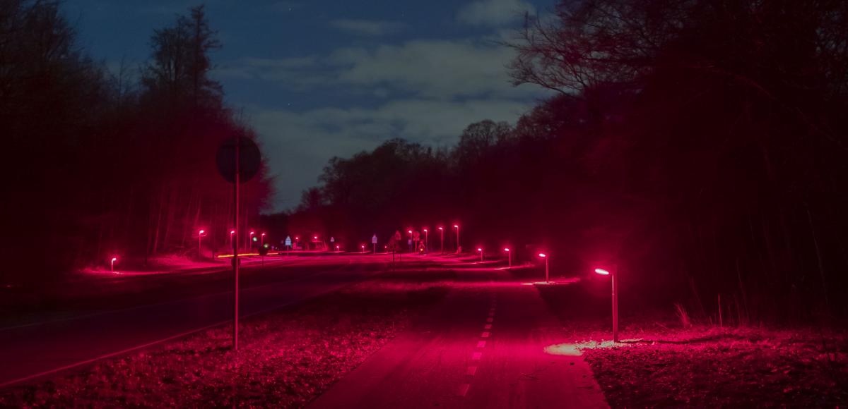 Gladsaxe bat-friendly lighting_Light Bureau 3, vejbelysning, private fællesveje, offentlige stier