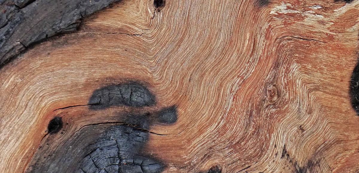 Wavy wood grain with burnt bits
