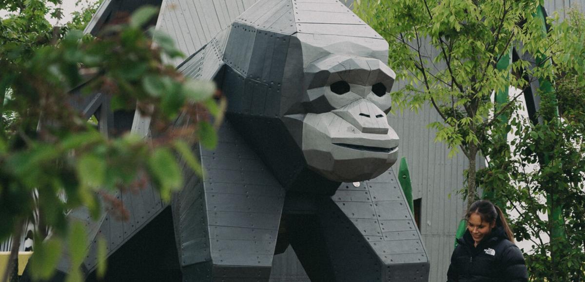 Playground gorilla