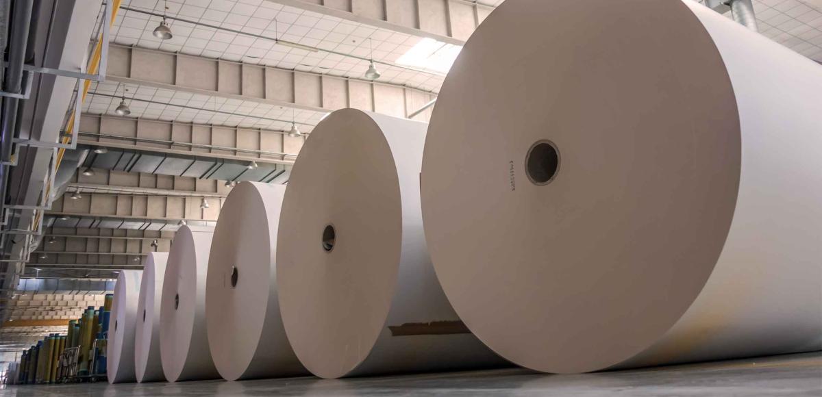 Paper rolls on the factory floor