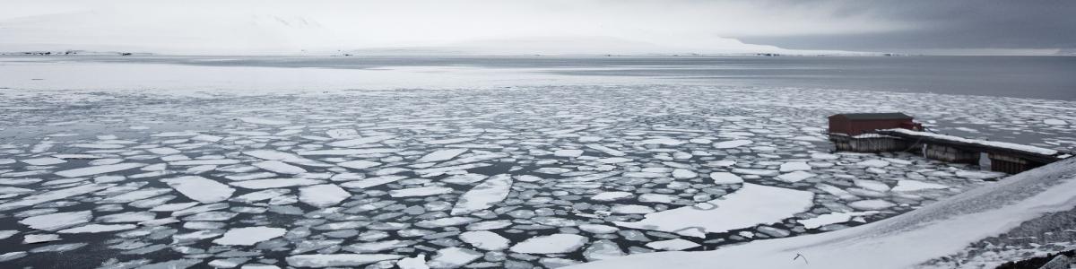 Ice floating on water in Barentsburg, Svalbard