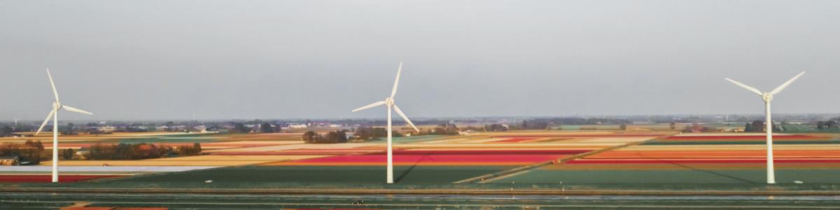 Netherlands, Callantsoog wind turbine