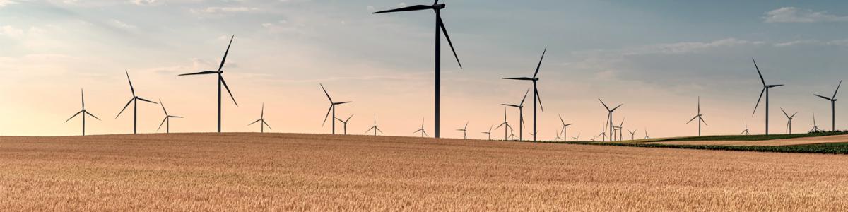 Wind turbines in field in Serbia