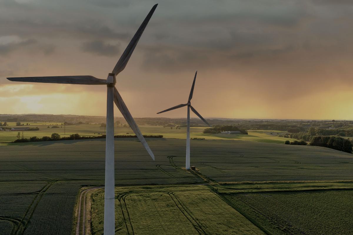 Field in Denmark at sunset with wind turbines