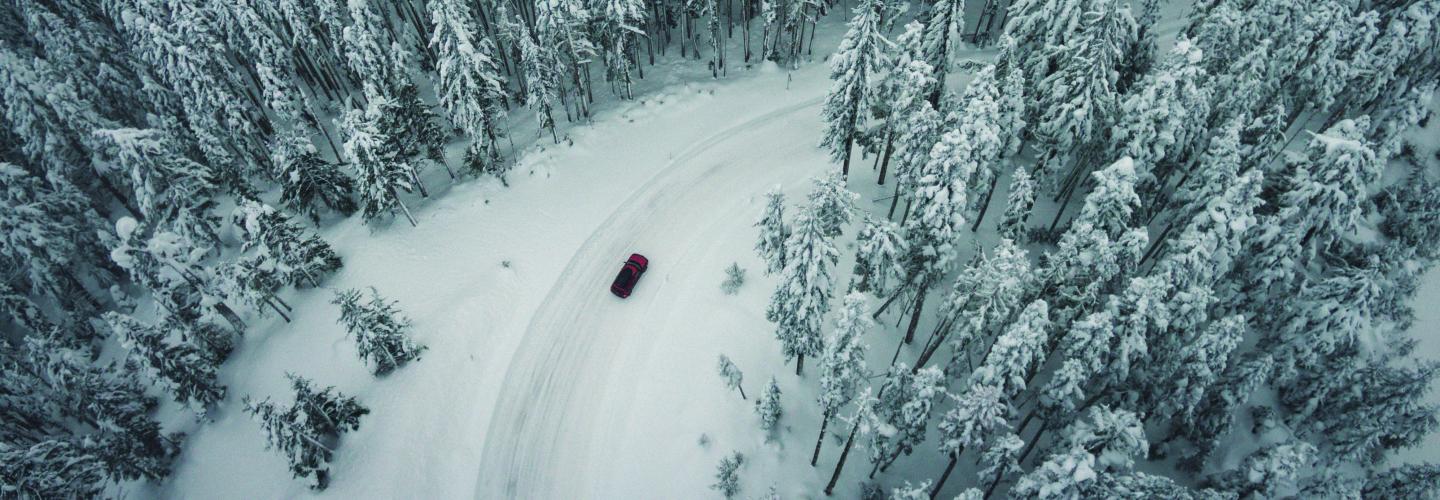 car driving among snowy trees
