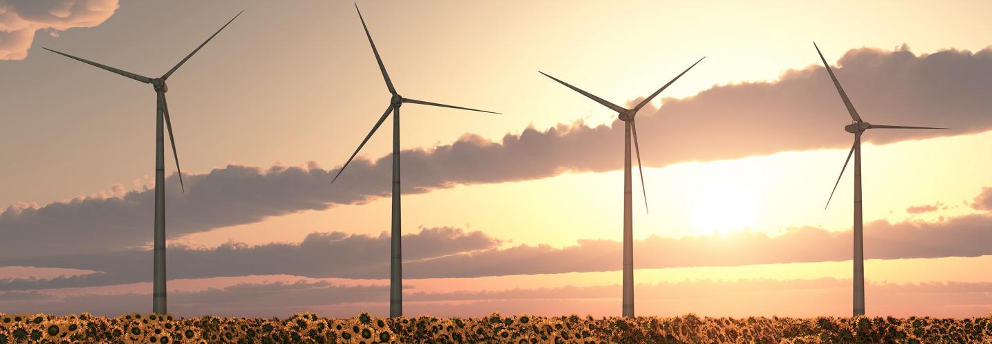Wind rotors in warm-lit sunset