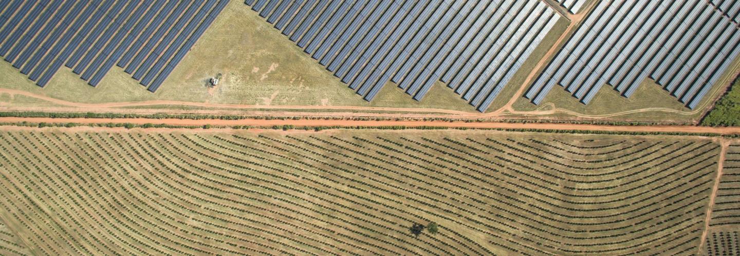 Photovoltaic modules on a solar farm bordering agricultural land.