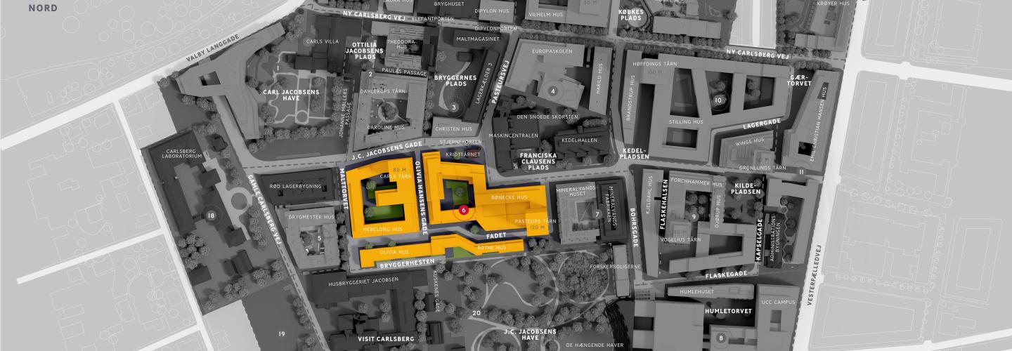 Kort over Carlsberg Byen med byggeafsnit 6 øst og vest fremhævet (med gult), som AFRY har bidraget til. Visualiering: Udviklingsselskabet Carlsberg Byen P/S.