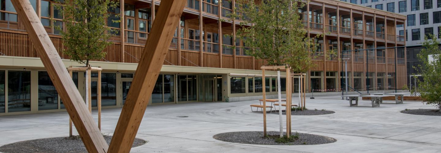 Wood structures of a modern school in Zurich