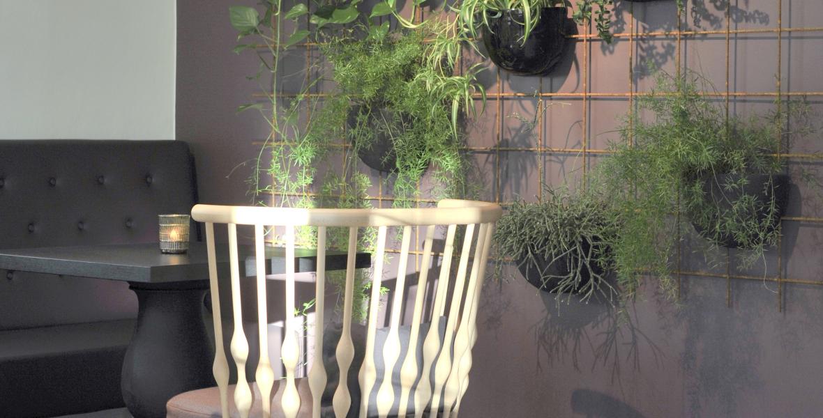 Bilde av stol og bord med plantevegg