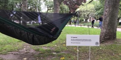A hammock hung between trees in a park with a white sign next to it.
