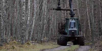 Forest machine in real-time operation