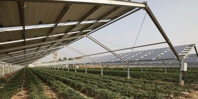 Solar panels and agriculture