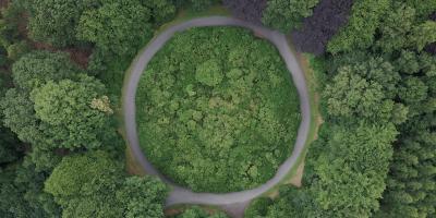 Circular road in forest