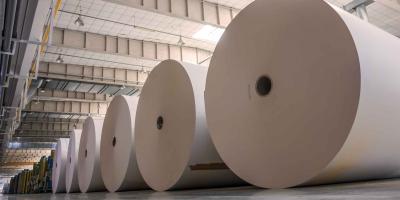 Paper rolls on the factory floor