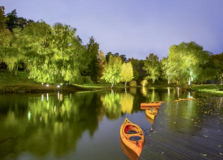 Kayaks in the water, forest in the background