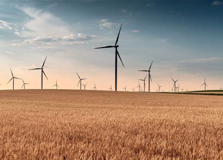 Wind turbines in field in Serbia