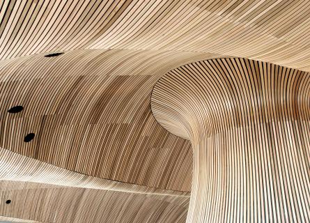 Wooden Architecture Roof