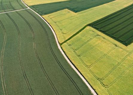 Green fields seeing from above