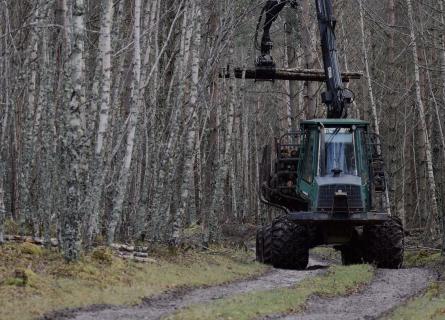 Forest machine in real-time operation