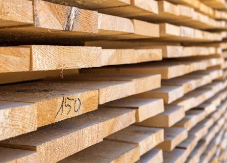 Sawn wood piled at sawmill