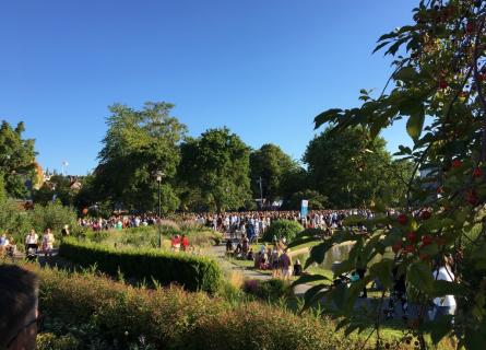 Crowds at Almedalen in the afternoon