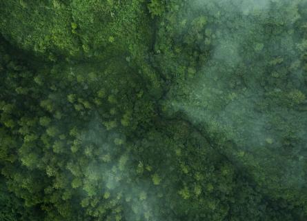Drone aerial shot of green tropical forest from above