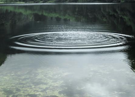 Ripple in water