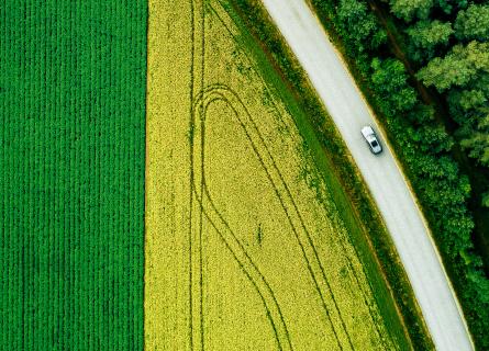 Illustrative picture: road outlined by a forest and agricultural land