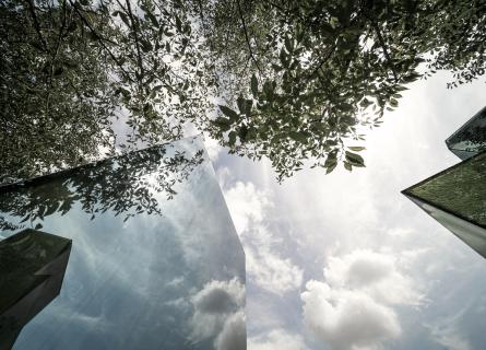 Mirrored building reflecting trees and sky