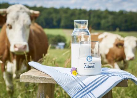 Kühe stehen auf der Weide mit Milchkanne