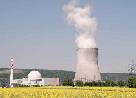 Field of yellow raps with Leibstadt nuclear power plant in the background
