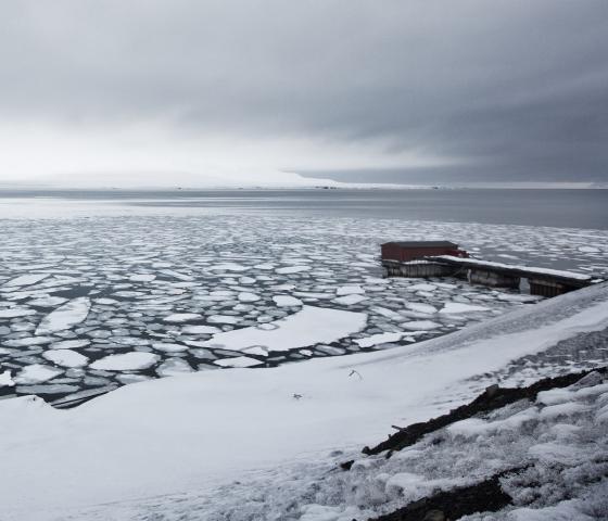 Ice floating on water in Barentsburg, Svalbard