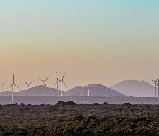 Wind turbines with a beautiful sunset in the Western Cape, South Africa