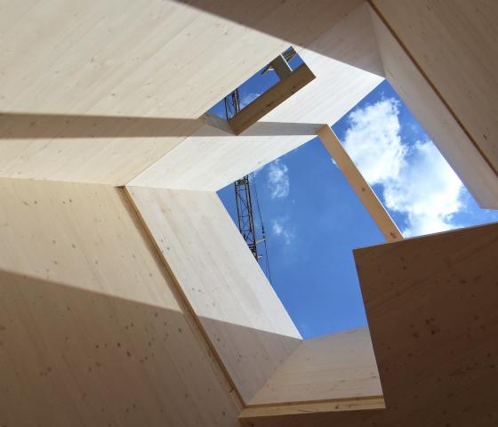 Wooden construction with sky view