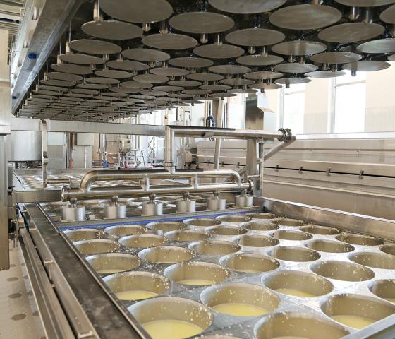 CH_Project_BU Buildings_Chees dairy_Seiler AG_production
