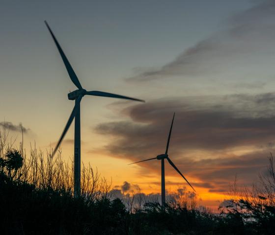 Wind turbines in sunset